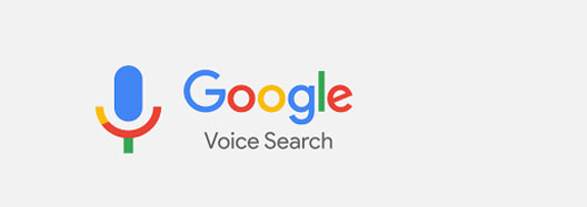voice search result driven seo
